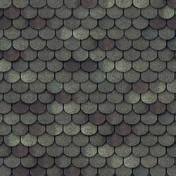 Shinglas Classic_tango - Панговый Shinglas Classic_tango - Панговый
