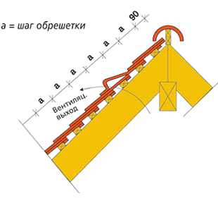 Конек